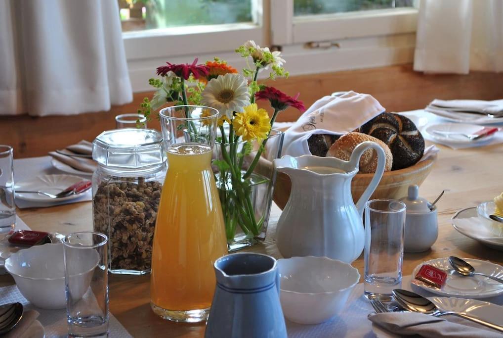 Grosszuegige Ferienwohnung Am Skigebiet Boedele Mit Rheintalblick Дорнбірн Екстер'єр фото